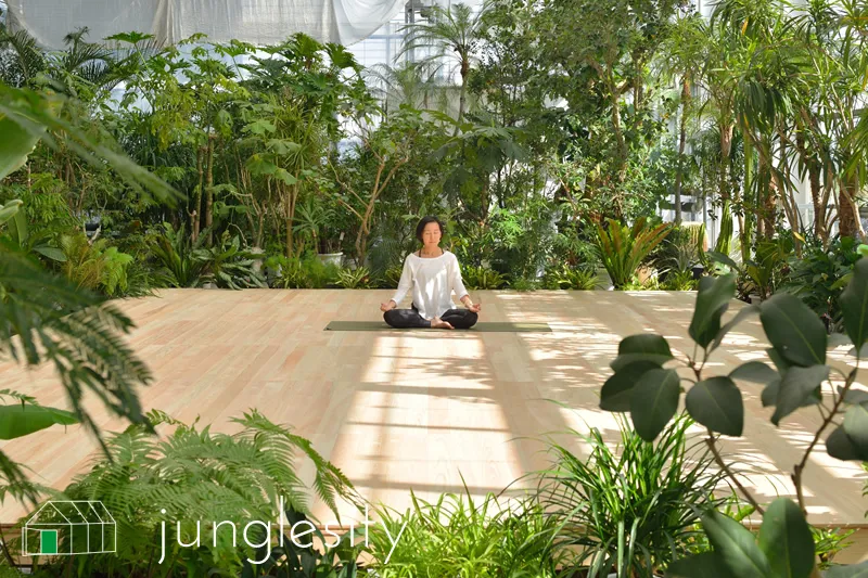 温室ヨガスタジオ Junglesityの内観