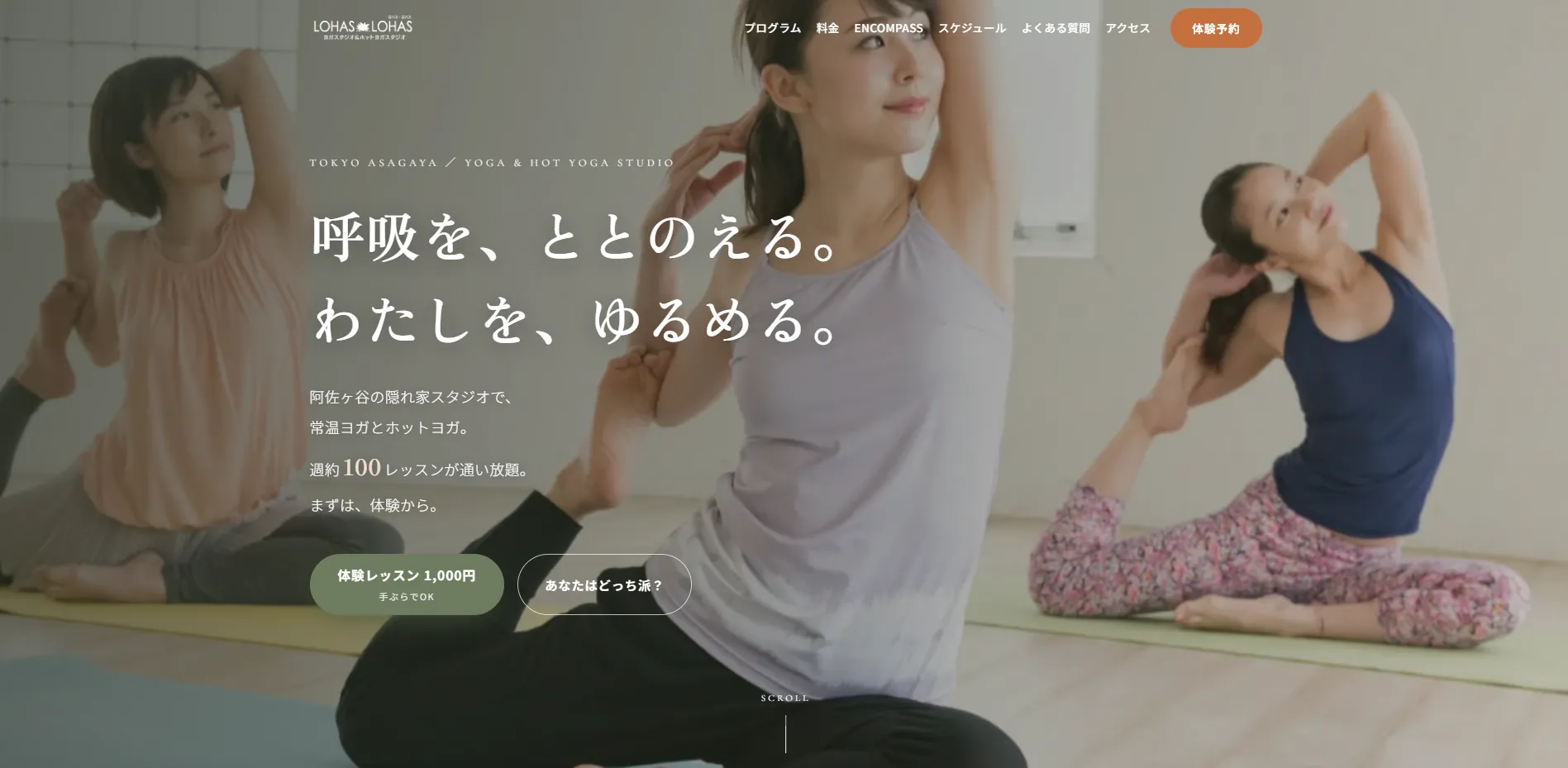 LOHAS LOHAS Studioの内観